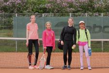 Mistrovská utkání